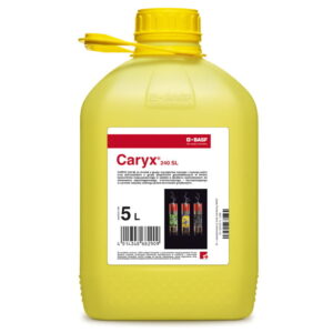 CARYX 260SL 5L