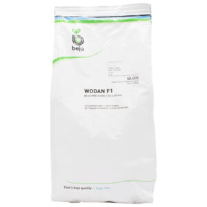 BURAK WODAN F1 3.0-3,50 50 TYS BEJO