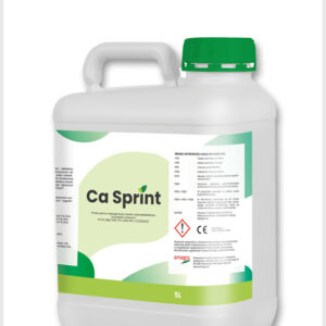 CA SPRINT 5L WAPNO+MAGNEZ