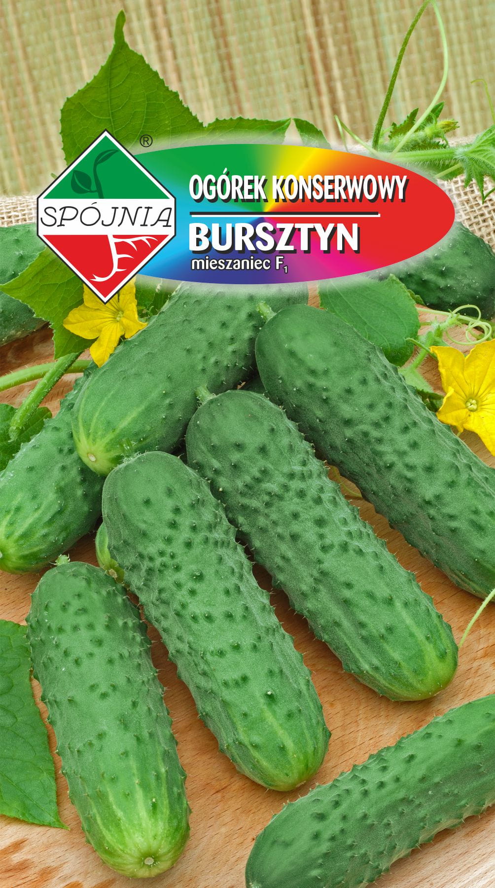 OGÓREK BURSZTYN F1 100G STANDARD SPÓJNIA