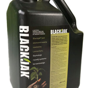 BLACKJACK 5L KWASY FULOWOWE HUMINOWE STYMULATOR WZROSTU
