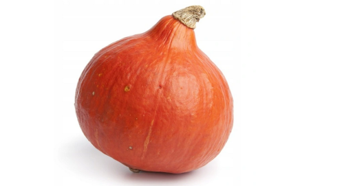 Dynia Hokkaido Orange 100g Standard SEMO