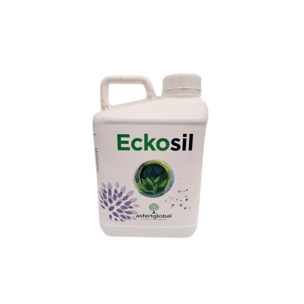 Eckosil 5l krzem formie kwasu ortokrzemowego